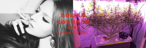 гидропоника Вязьма