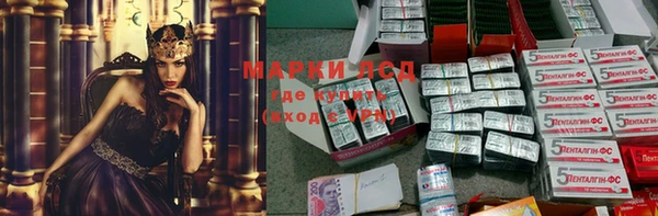 гидропоника Вязьма